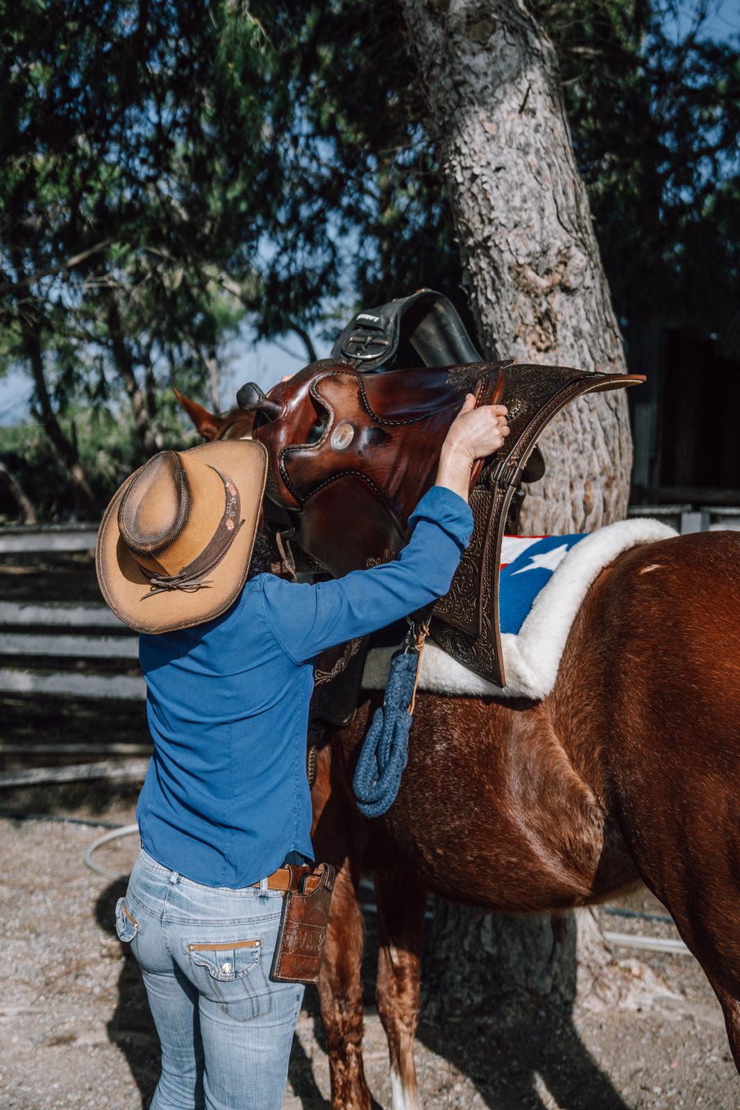 Una silla western colocada sobre el caballo antes del paseo