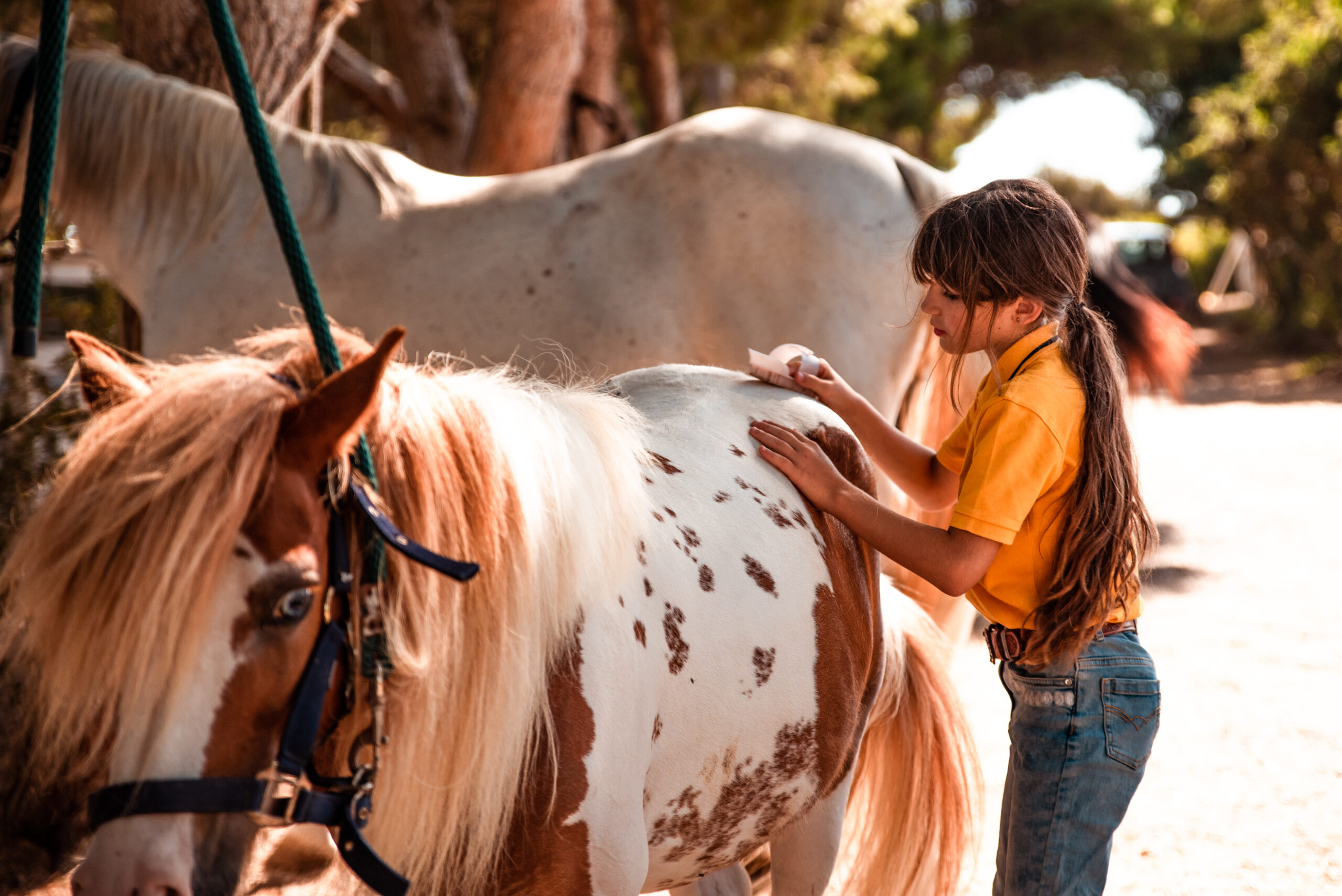 Niña cepillando un poni en la escuela de ponis de Carolina Ranch